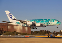 ANA_A380_JA382A_NRT_0224_4_JP__small.jpg