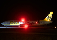 BUZZ_737-8MAX_SP-RZA_RHO_0824A_1_JP_small.jpg