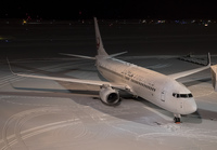JAL_737-800_CTS_0117D_2_JP_small.jpg