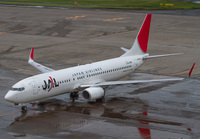 JAL_737-800_JA301J_HND_1011_JP_small.jpg