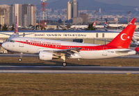 TURKISHGOVERNMENT_A319_TC-ANA_IST_1018_19_JP_small.jpg